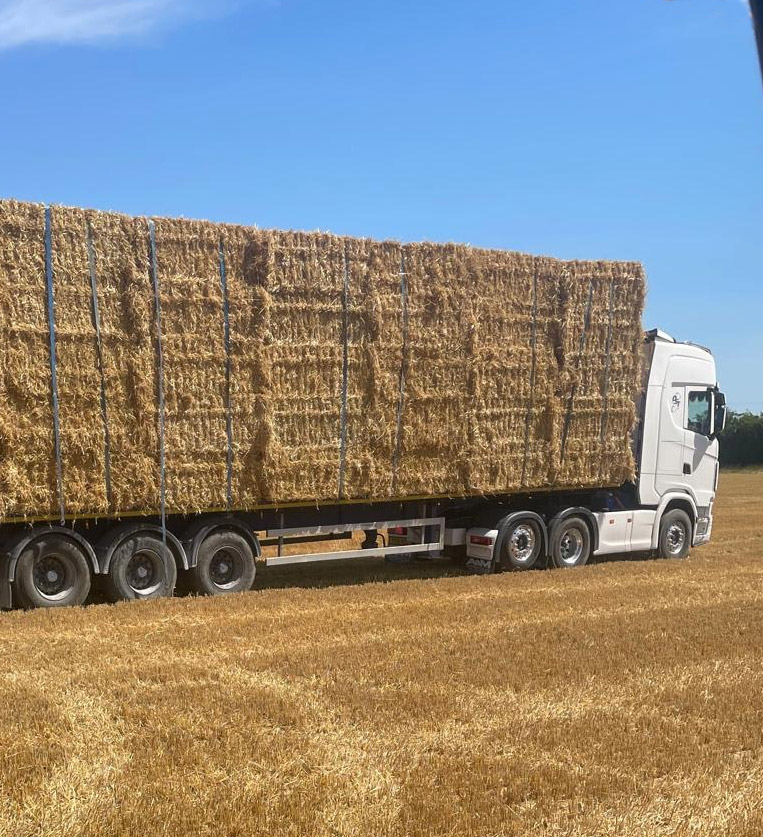 killeen-supplies-straw-01a