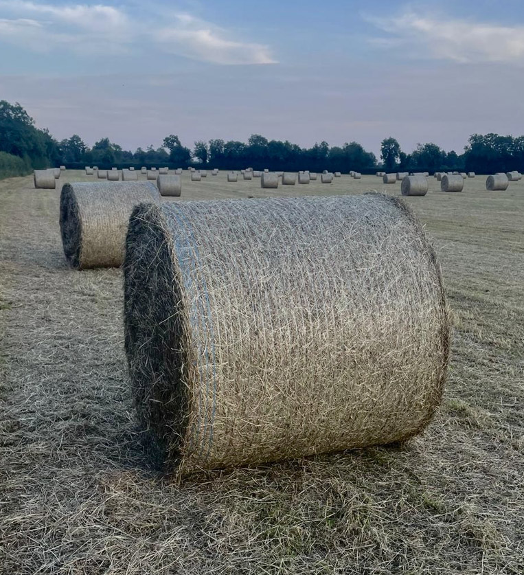 killeen-supplies-straw-02